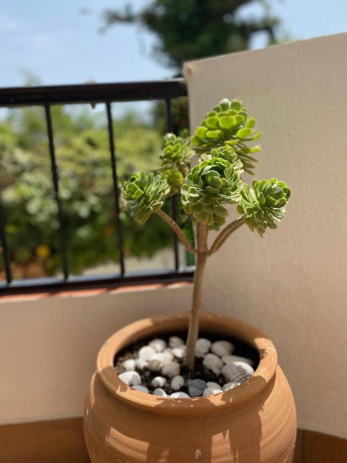 Las Palmeras 3, Nerja Exterior photo